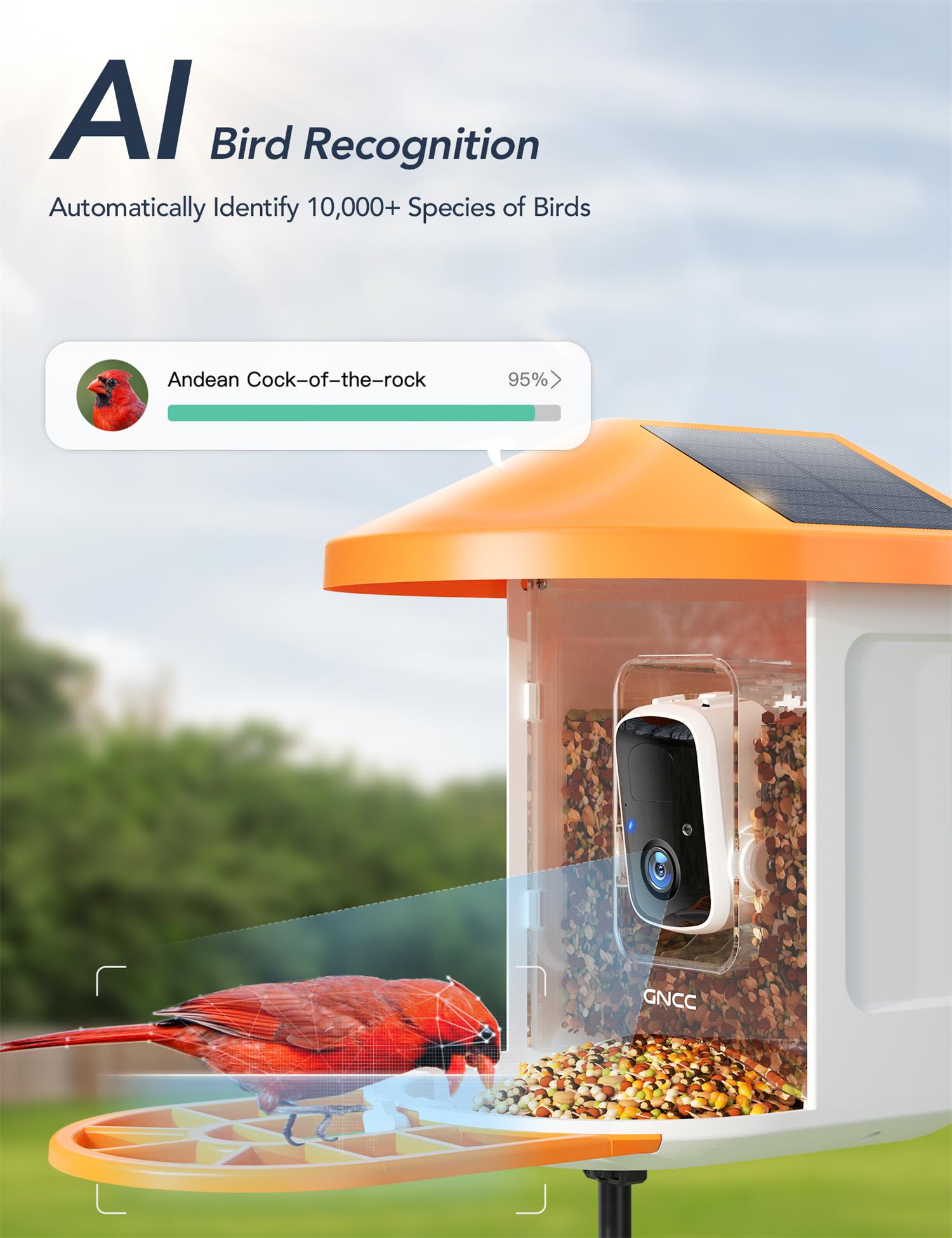 GNCC Smart Bird Feeder mit 1080P Solarkamera, Wildvogelfutterspender, Eichhörnchensicher