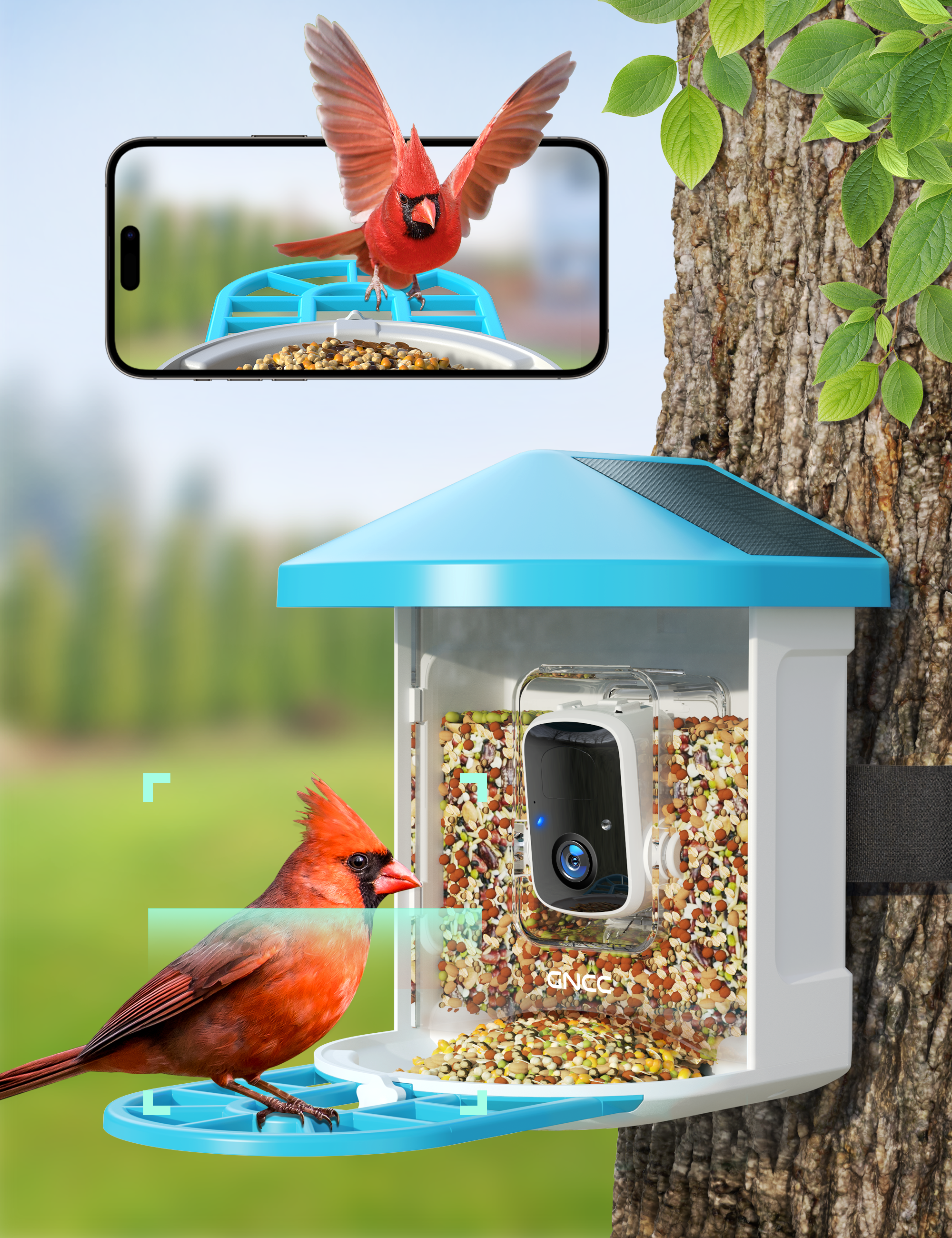 GNCC Nourrisseur d'oiseaux intelligent avec caméra solaire 1080P Nourrisseurs d'oiseaux sauvages à l'épreuve des écureuils